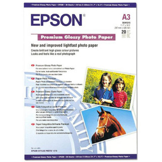 Papier Epson Carton Mat Posterboard 850g A2 20 feuilles